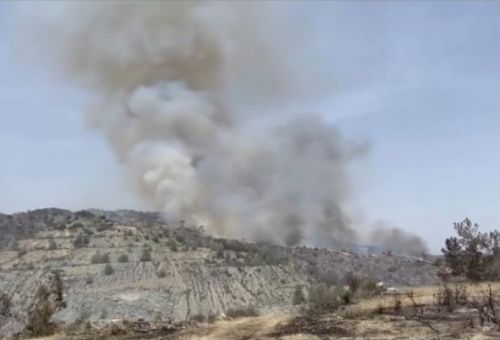 ΦΩΤΟ: Ανεξέλεγκτη η πυρκαγιά στη Λεμεσό,...